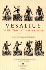 Vesalius&rsquo;s <em>On The Fabric Of The Human Body</em> Poster